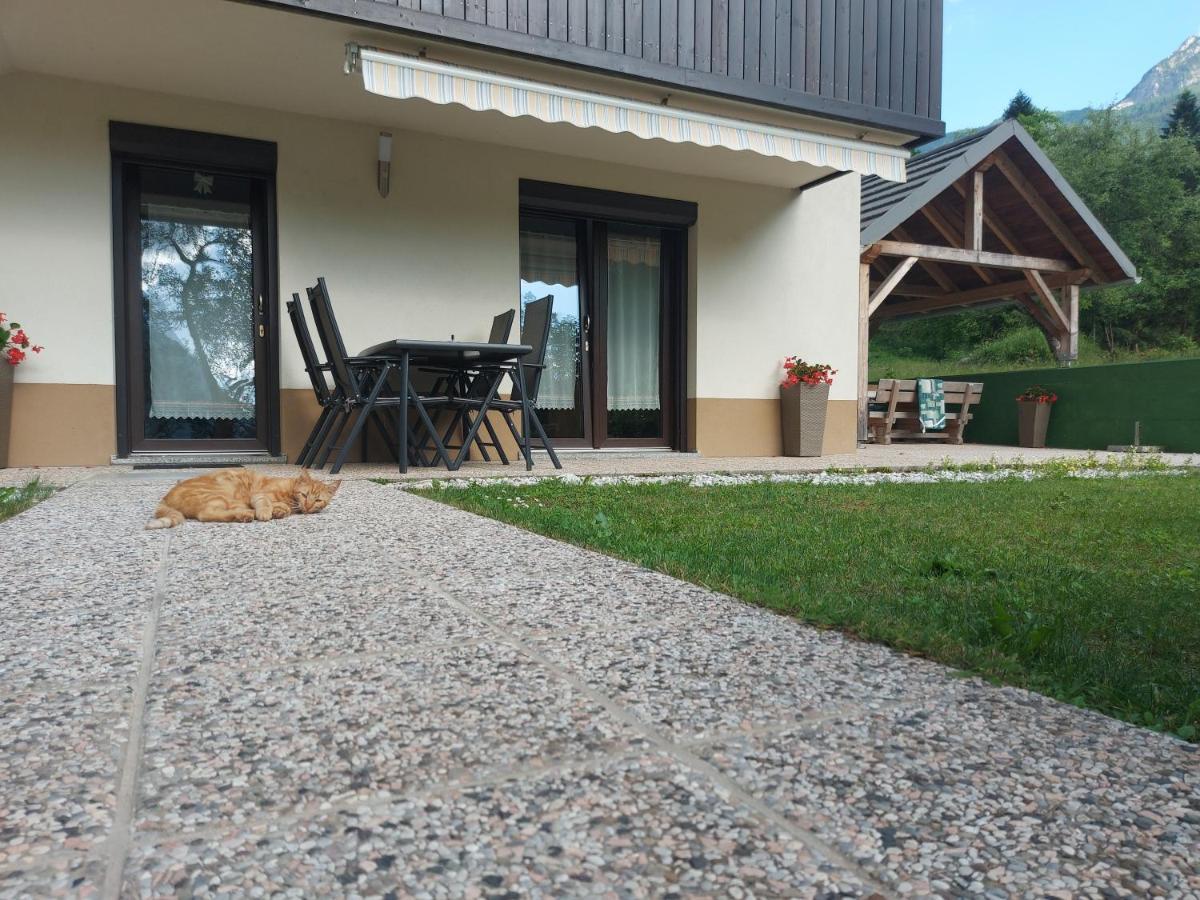 Apartmaji Katrc Soča Exterior foto